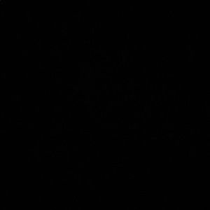 Meet your Posher, Erick